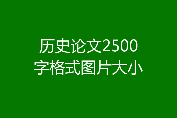 历史论文2500字格式图片大小