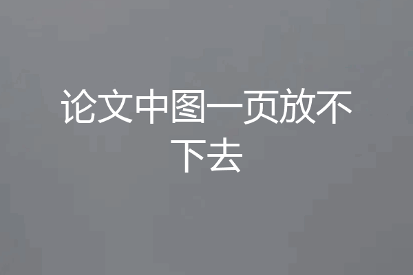 论文中图一页放不下去
