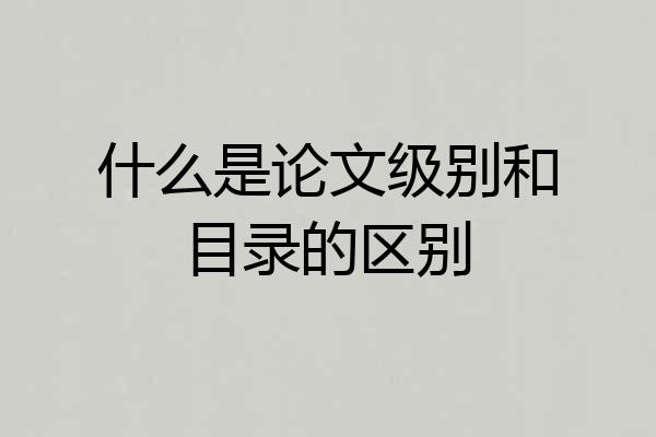 什么是论文级别和目录的区别