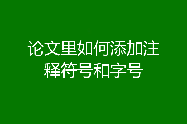 论文里如何添加注释符号和字号