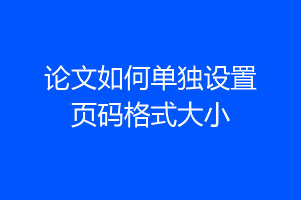 论文如何单独设置页码格式大小