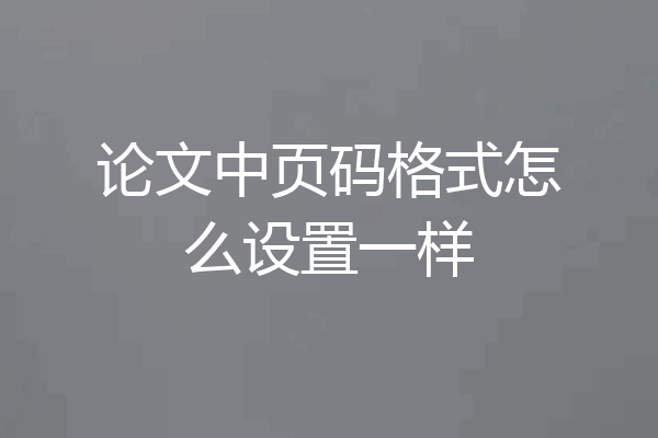 论文中页码格式怎么设置一样