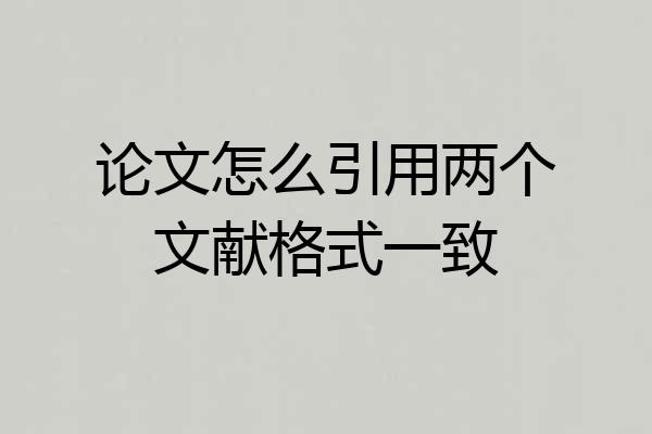 论文怎么引用两个文献格式一致