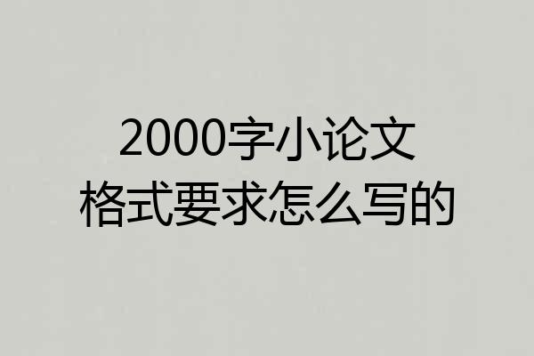 2000字小论文格式要求怎么写的