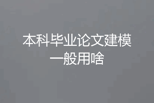 本科毕业论文建模一般用啥