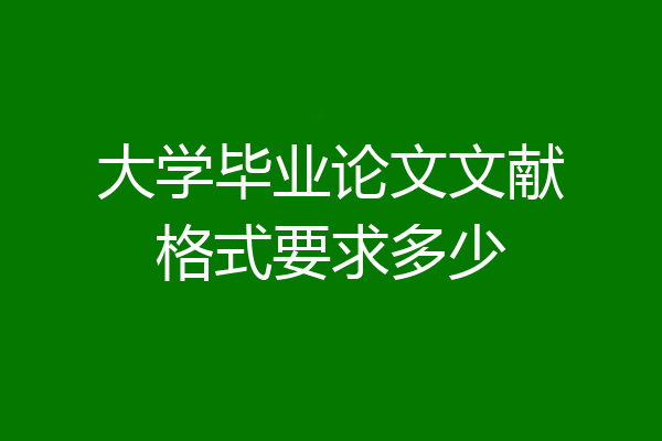 大学毕业论文文献格式要求多少
