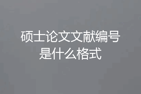 硕士论文文献编号是什么格式