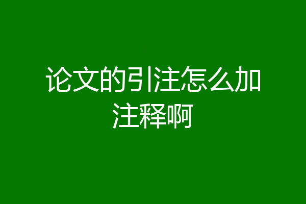 论文的引注怎么加注释啊