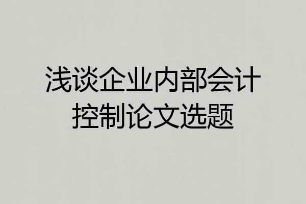浅谈企业内部会计控制论文选题