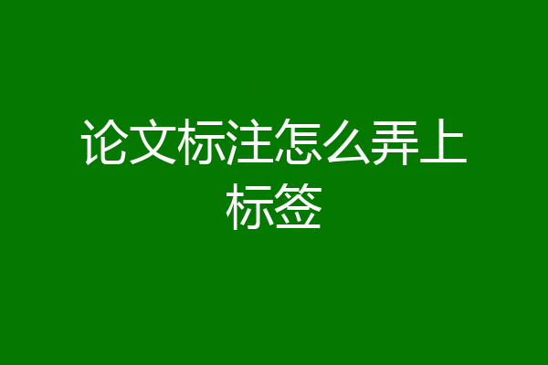 论文标注怎么弄上标签
