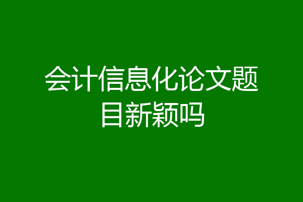 会计信息化论文题目新颖吗
