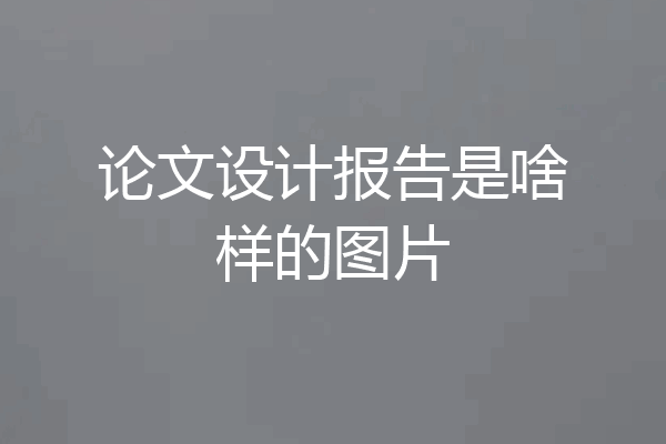论文设计报告是啥样的图片
