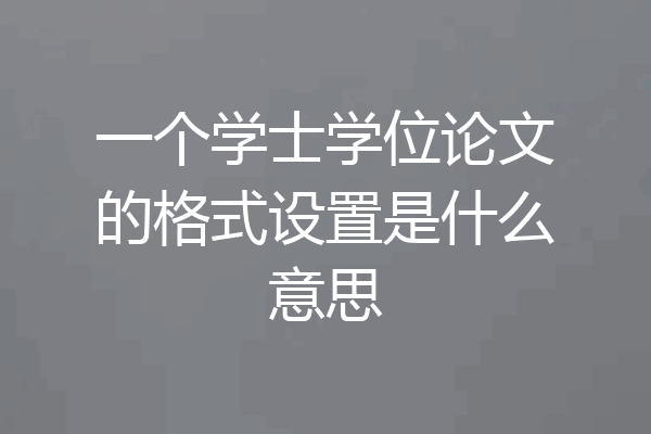 一个学士学位论文的格式设置是什么意思