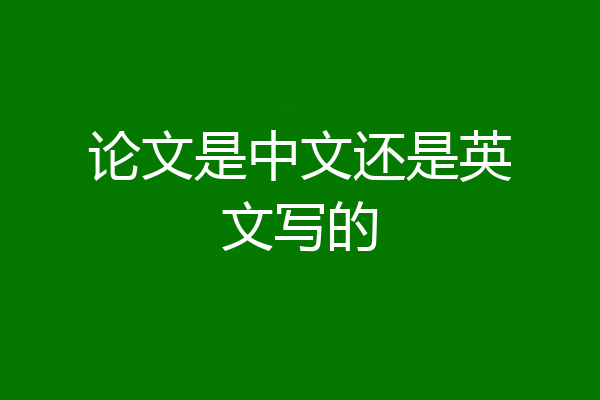 论文是中文还是英文写的