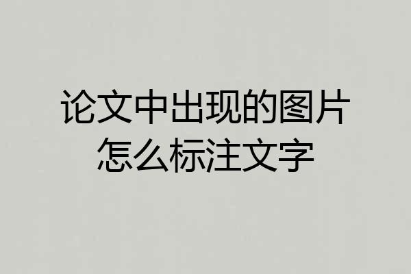 论文中出现的图片怎么标注文字