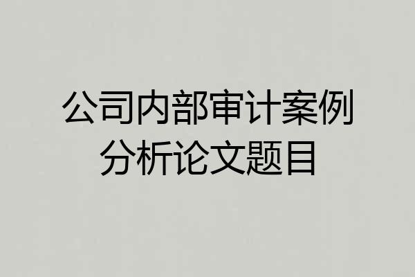 公司内部审计案例分析论文题目