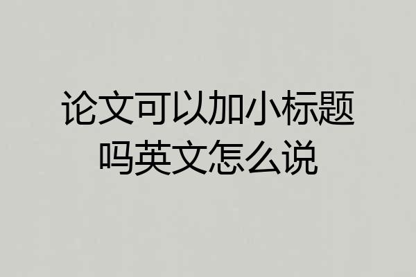论文可以加小标题吗英文怎么说