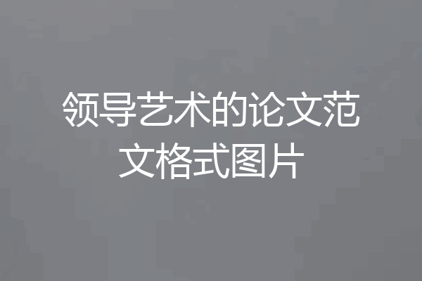 领导艺术的论文范文格式图片