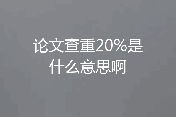 论文查重20%是什么意思啊