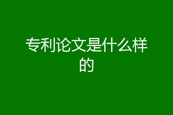 专利论文是什么样的