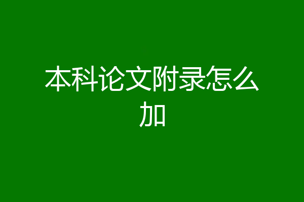 本科论文附录怎么加