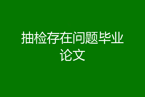 抽检存在问题毕业论文