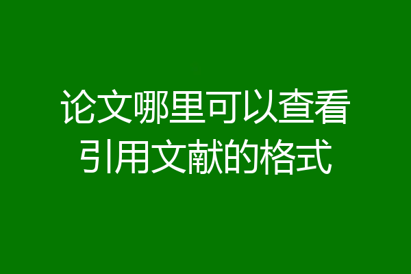 论文哪里可以查看引用文献的格式