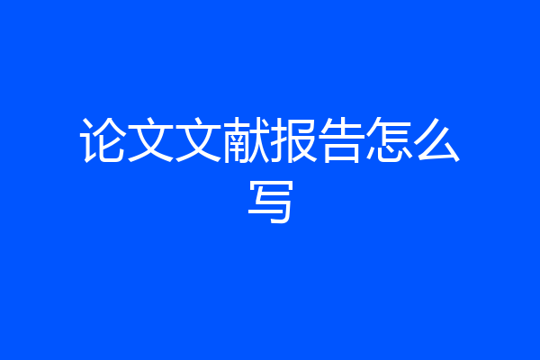 论文文献报告怎么写