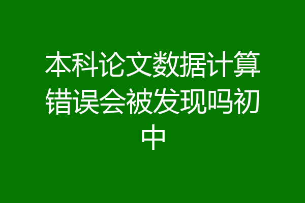 本科论文数据计算错误会被发现吗初中