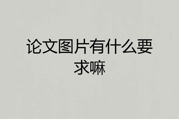 论文图片有什么要求嘛