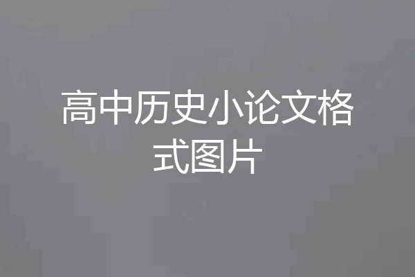 高中历史小论文格式图片