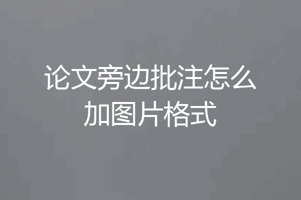 论文旁边批注怎么加图片格式