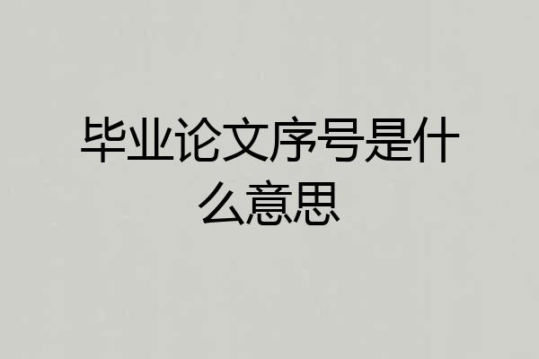 毕业论文序号是什么意思