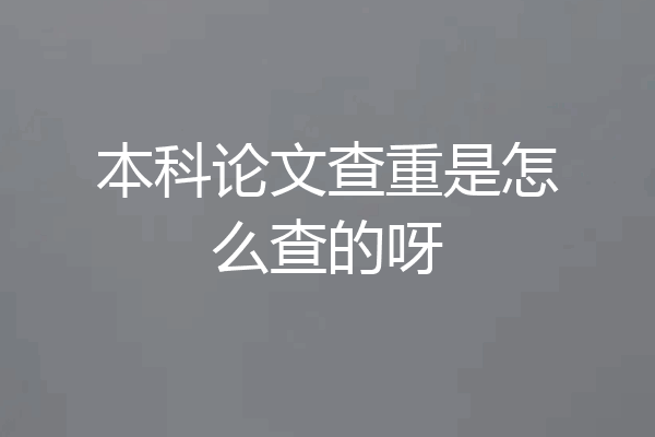 本科论文查重是怎么查的呀