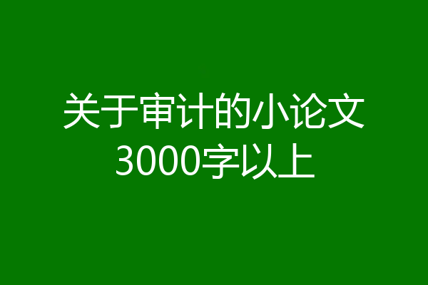 关于审计的小论文3000字以上