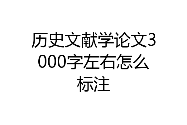 历史文献学论文3000字左右怎么标注