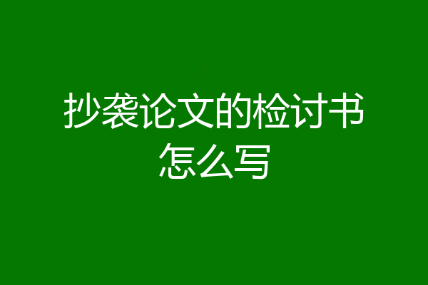 抄袭论文的检讨书怎么写