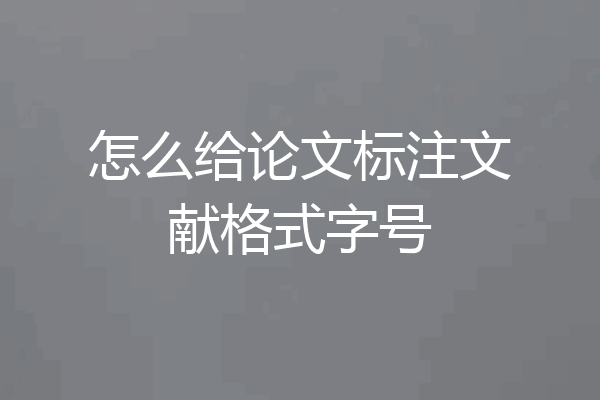怎么给论文标注文献格式字号