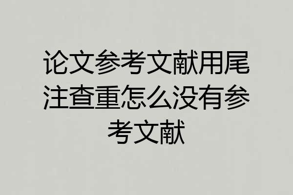 论文参考文献用尾注查重怎么没有参考文献