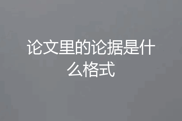 论文里的论据是什么格式