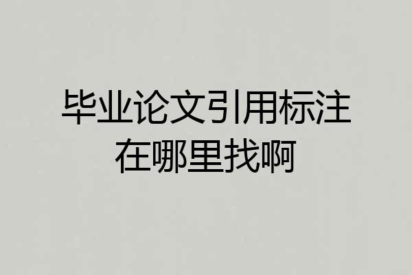 毕业论文引用标注在哪里找啊