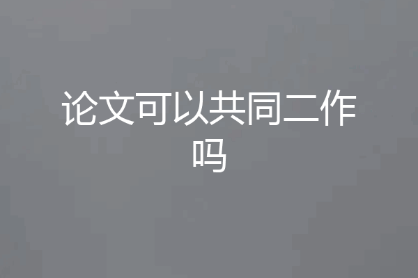 论文可以共同二作吗