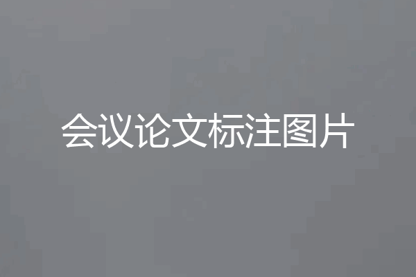 会议论文标注图片