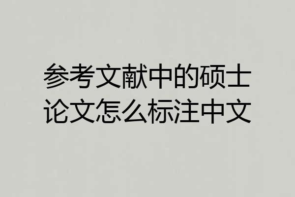 参考文献中的硕士论文怎么标注中文