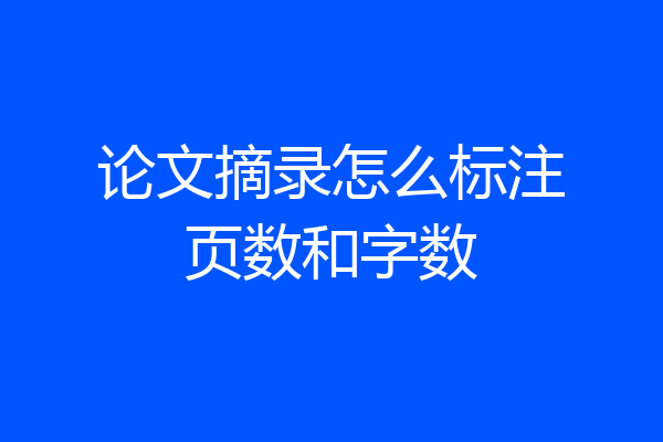 论文摘录怎么标注页数和字数