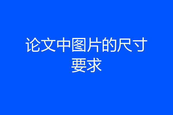 论文中图片的尺寸要求