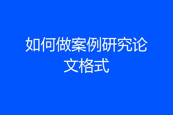 如何做案例研究论文格式