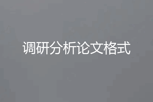 调研分析论文格式