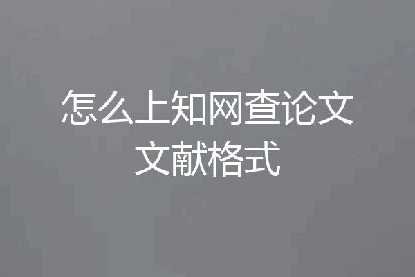 怎么上知网查论文文献格式