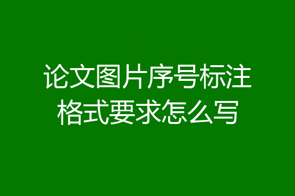论文图片序号标注格式要求怎么写